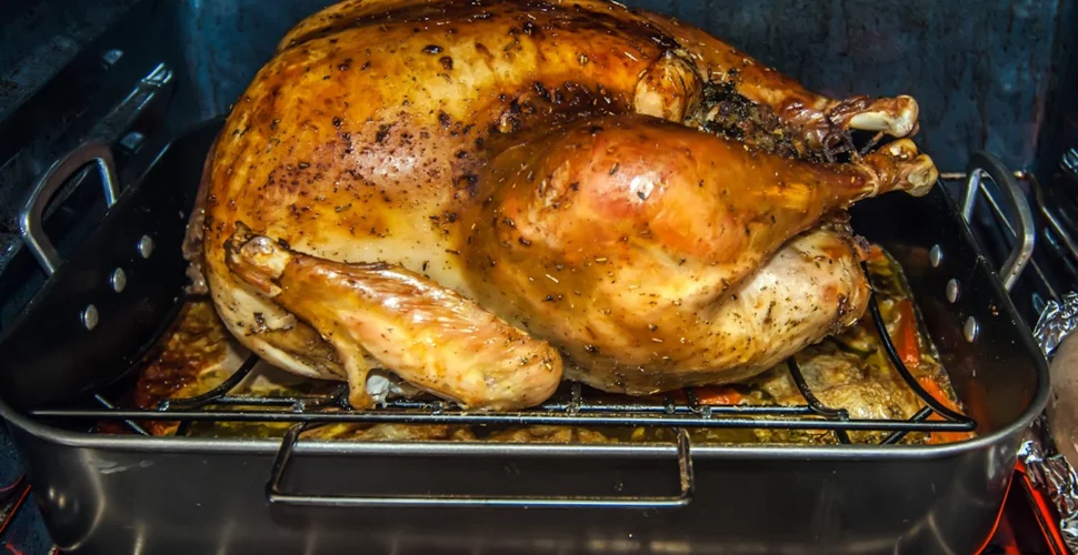 how-to-cook-turkey-3.webp