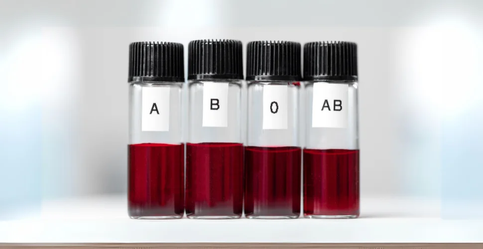 how-to-find-blood-type-3.webp