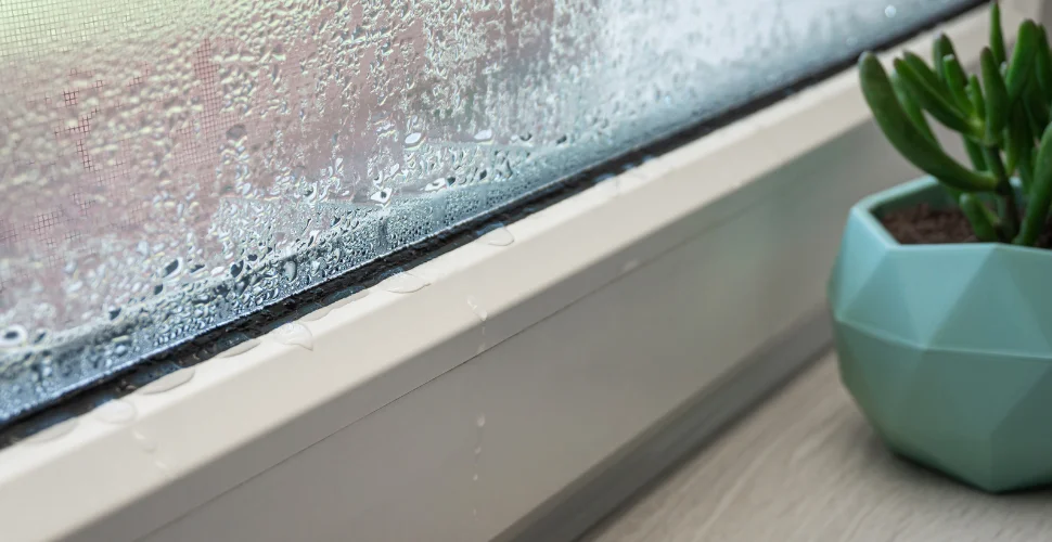 how-to-stop-condensation-on-windows-2.webp