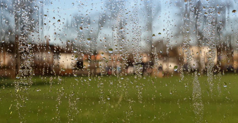 how-to-stop-condensation-on-windows.webp